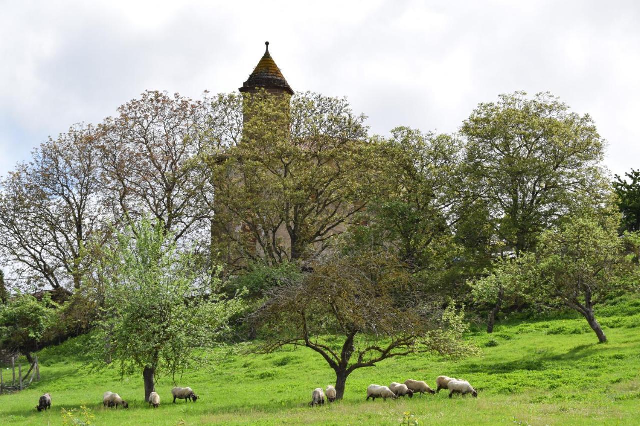 Casa Rural Galain Lizaso Ngoại thất bức ảnh